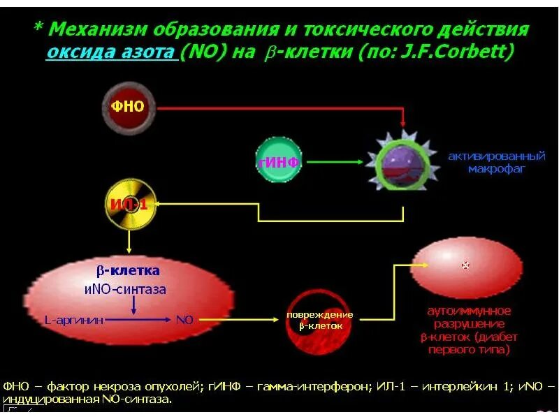 Чем опасен оксид азота. Механизм действия оксида азота. Токсическое действие азота. Токсическое действие оксида азота. Оксиды азота влияние на окружающую среду.