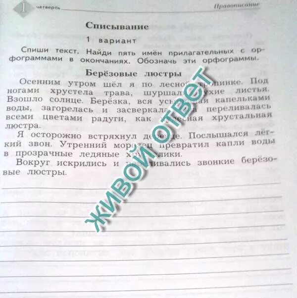 Списывание 3 класс имя прилагательное. Орфограмма берёзовые люстры. спиши текст подчеркни пять имён прилагательных осенним утром. списывание окончания имен прилагательных 3 класс. спишите текст березовые люстры.