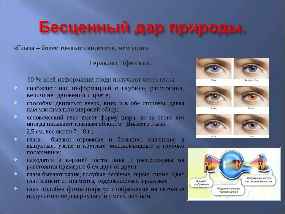 Проект на тему зрение. Памятка для глаз. Берегите глаза. Сохранение зрения. Берегите глазки