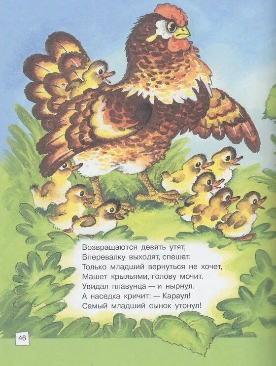 Курочка ряба и 10 утят маршак читать. Курица и утята ушинский. константин ушинский — курица и утята. курочка ряба и утята. стих маршака про курицу.
