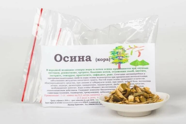 Простата осина. Отвар осиновой коры. Отвар из коры осины. Препараты из коры осины.