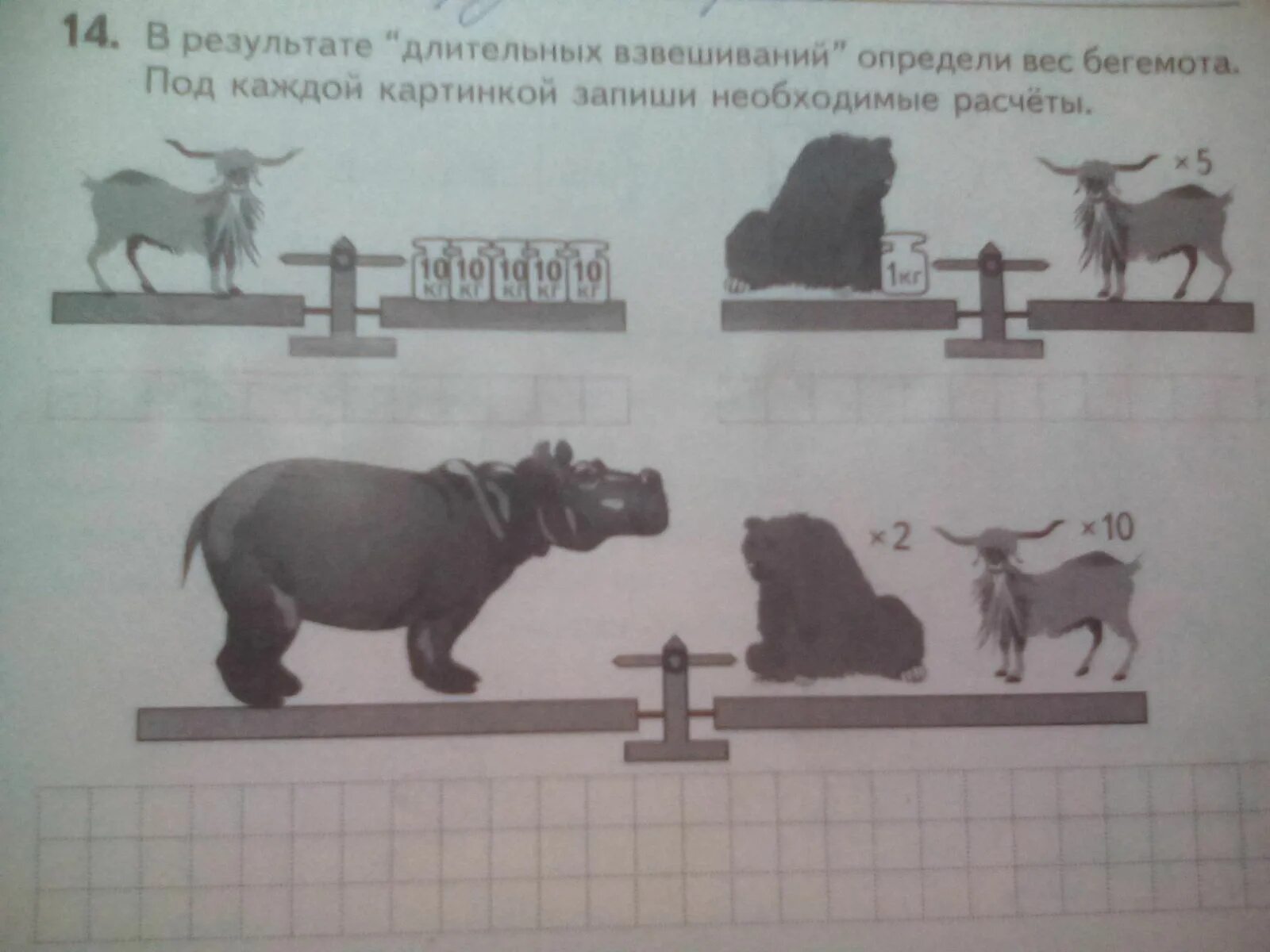 Масса бегемота. Вес бегемота. Задания с бегемотом. Высота и масса бегемота.