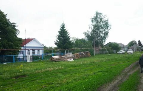 Погода в какино