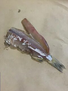 Пелядь описторхоз