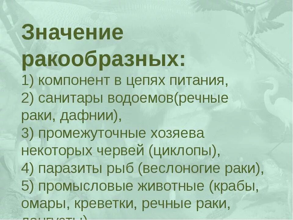 Роль ракообразных в природе. Значение ракообразных в природе и жизни человека. Значение ракообразных в жизни человека. Значение ракообразных в природе. Значение речного рака