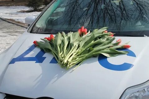 Водитель цветов
