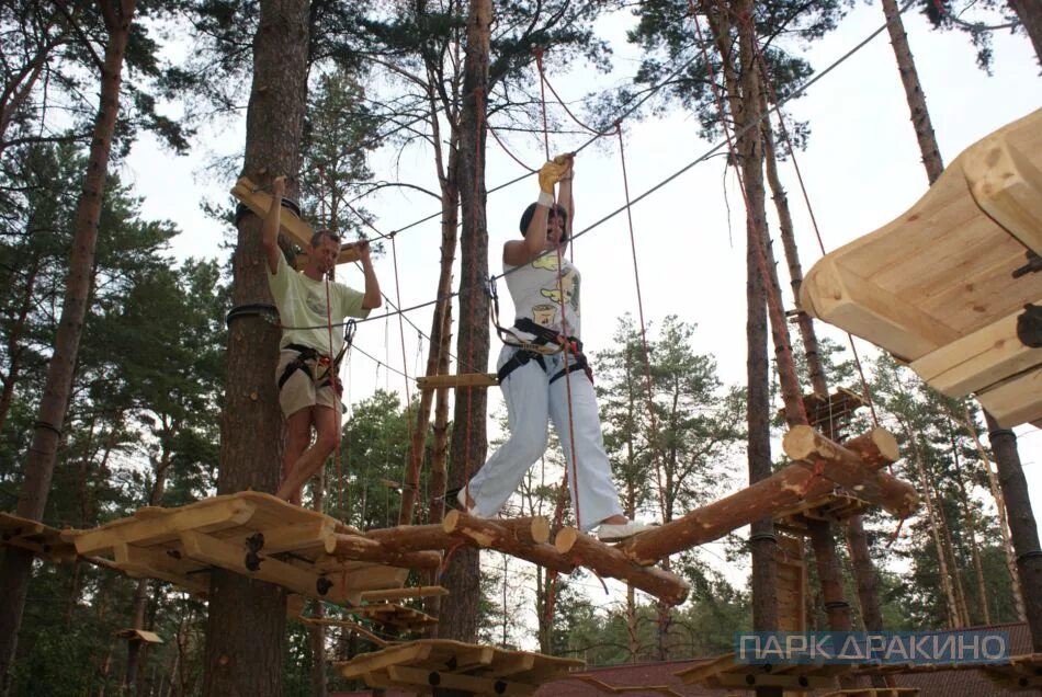 Парк победы екатеринбург веревочный парк. Веревочный парк тарзан липецк. Веревочный парк дракино. Парк пехорка панда парк. Тарзан парк дракино.