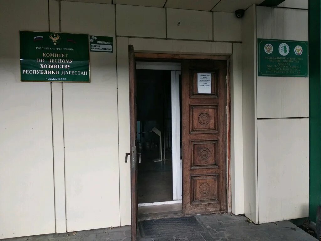 комитет лесного хозяйства республики дагестан. махачкалинское лесничество. гку махачкала. комитет рыбного хозяйства республики дагестан. гку махачкала.