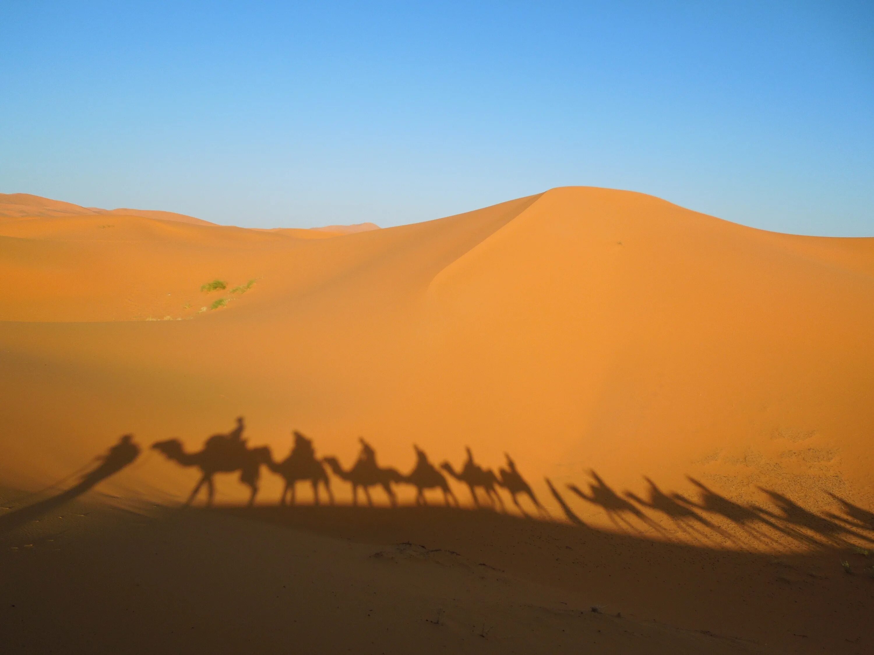Пустыни и полупустыни Евразии. Пустыни и полупустыни климат. Марокко полупустыни. Риссани Марокко.