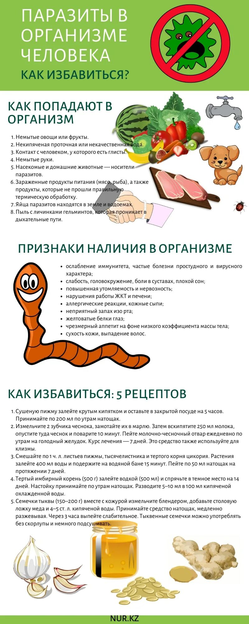 Домашнее средство от глистов у людей. Избавление от паразитов. очищение организма от глистов. как избавиться от паразито. как избавиться от паразитов в организме.