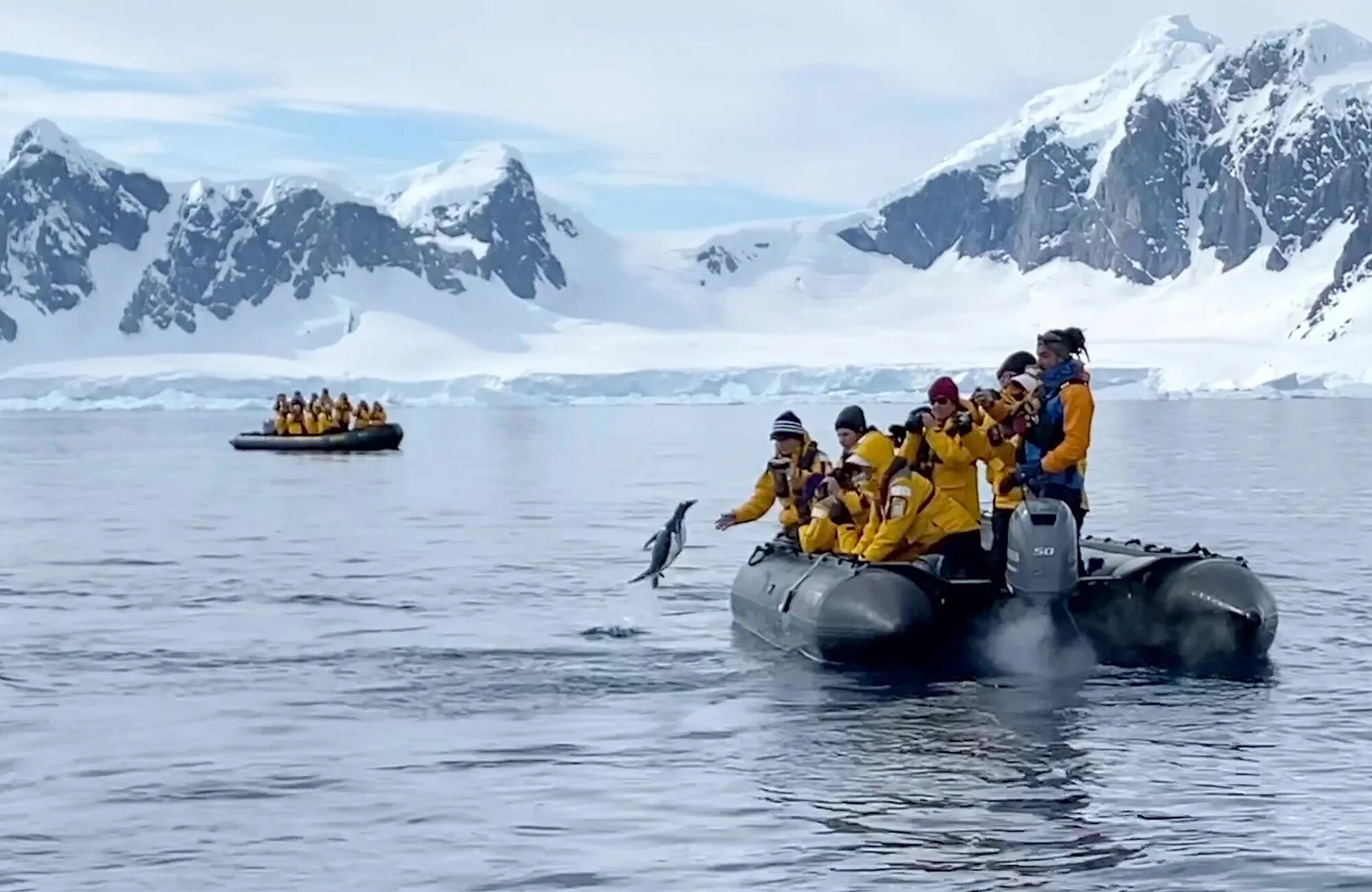 Пингвин касатка лодка. Пролив Бигль. Спасение пингвинов. Лодка Зодиак в Антарктиде. Туристы в Антарктиде.