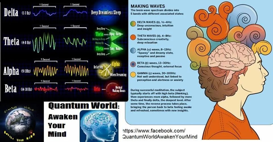 Brain sound. Частоты мозга. Ритмы головного мозга. Волны мозговой активности человека. Альфа ритм мозга.