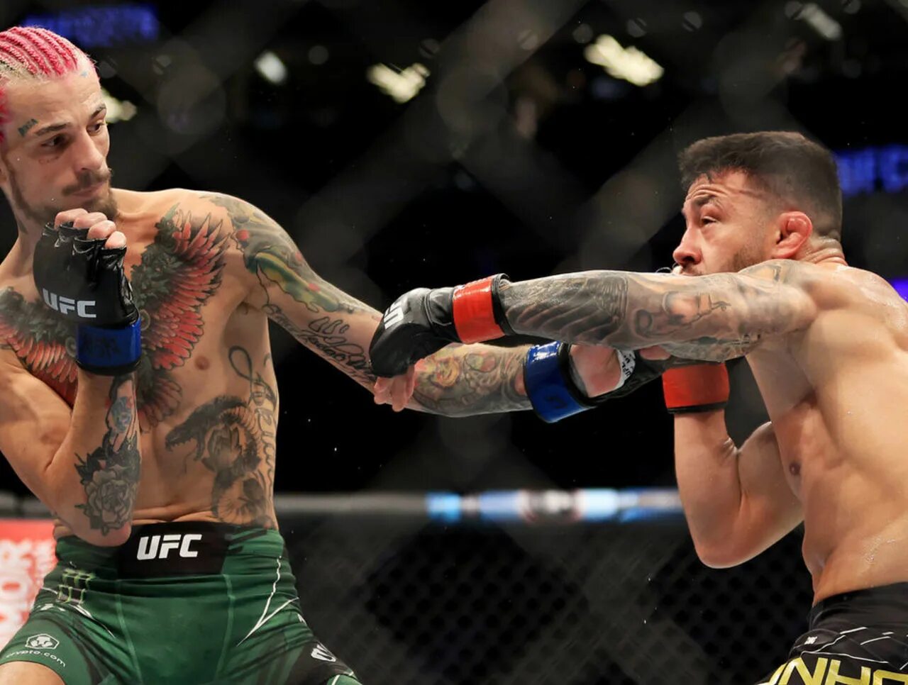 Сергей калинин боец. Сергей павлович мма. 01. Юфс кард 14. Фрэнсис нганну.