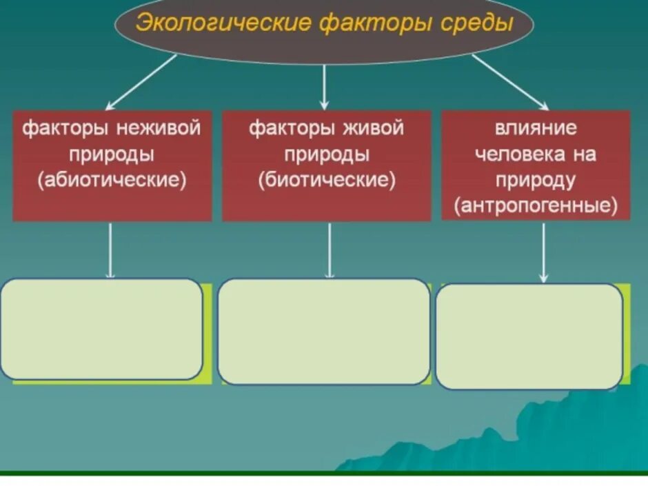 Три фактора окружающей среды. Экологические факторы факторы неживой природы факторы живой природы. Факторы живой природы биология. Экологические факторы среды. Экологические факторы схема.