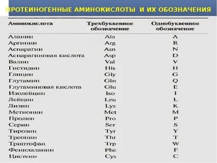 Вид формы аминокислот