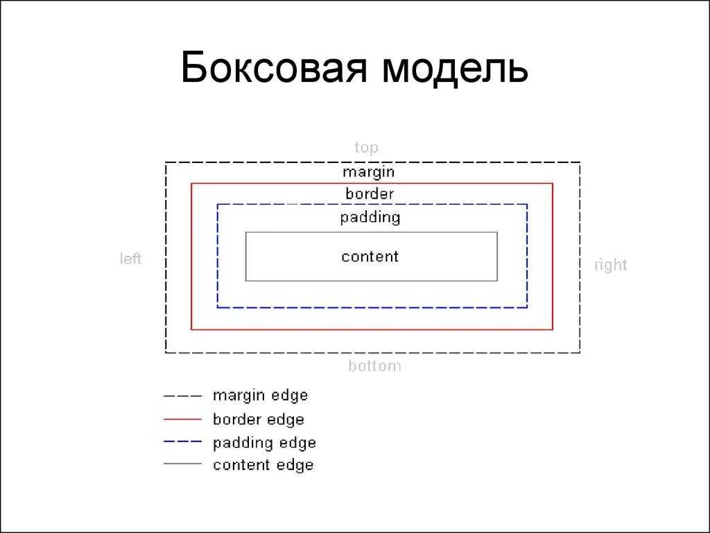 Border content. Margin padding. Отступы padding margin. Схема margin padding. Html margin и padding.