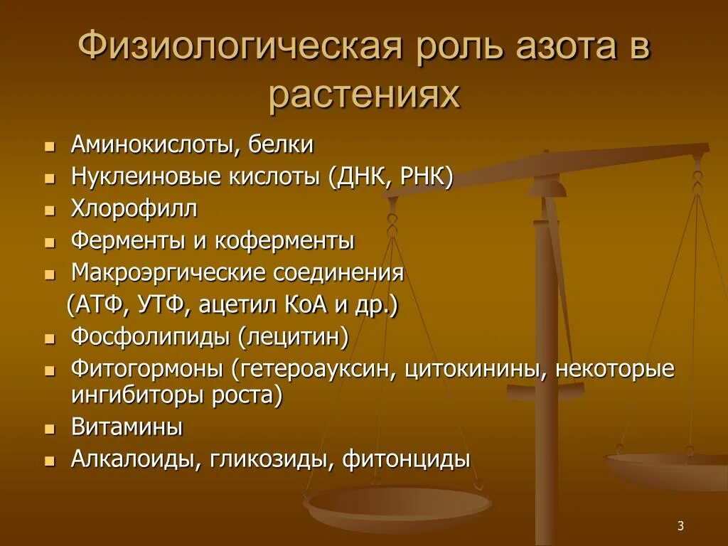 Физиологическая роль азота. Роль азота в жизни растений. Физиологическая роль азота в жизни растений. Роль азота в жизни. Азот в составе живых организмов