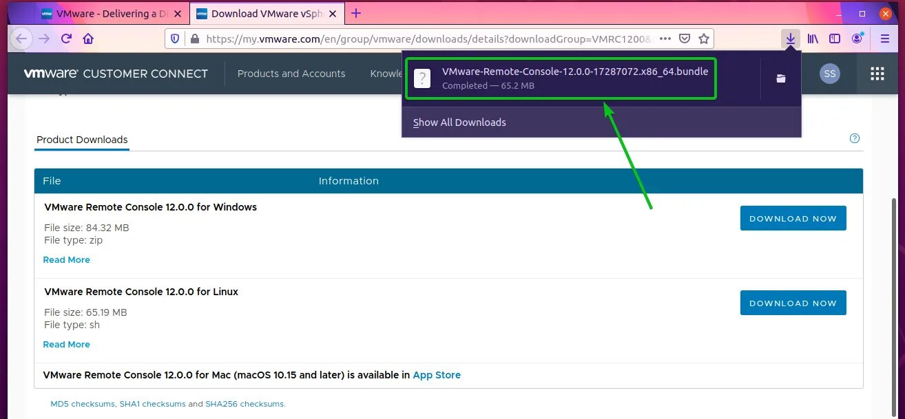 Vmware remote. Консоль vmware. vmware console. vmrc консоль. vmware remote console.