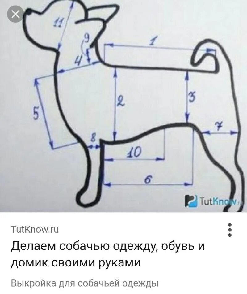 Лекало собаки. Собака в натуральную величину. Лекало для манекена собаки. Манекен собака. Выкройка фокстерьера игрушки.