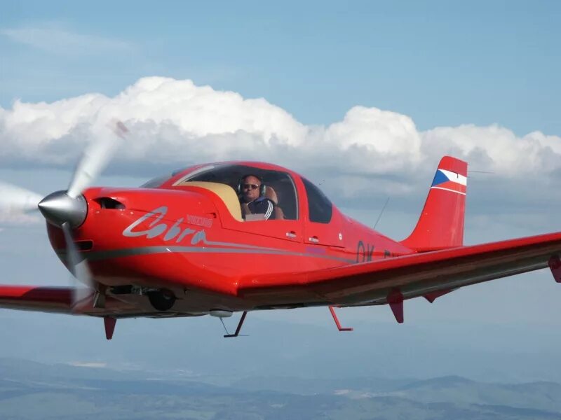 Статуэтка кобра. Золотое кольцо кобра. Golden cobra100. Самолёт evektor ev-55 outback. Evektor vut100 cobra.