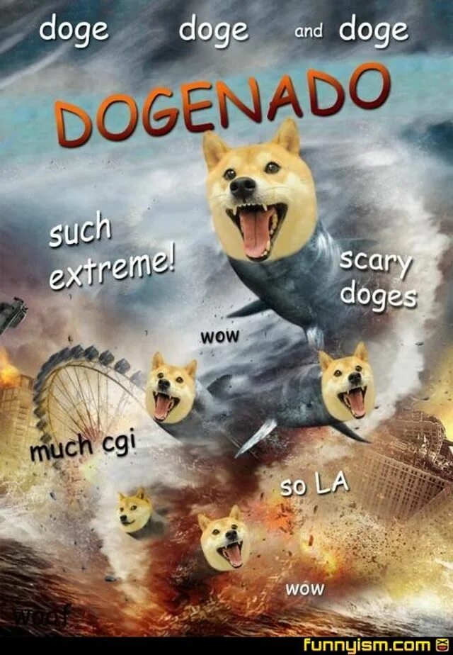 Doge. Doge wow. Wow such Doge.
