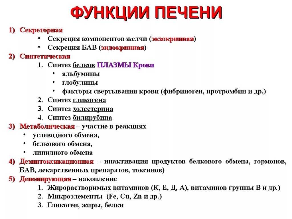 Функция не относится к тест. Перечислите основные функции печени.. Назовите функции печени кратко. Перечислите главные функции печени. Основные функции печени в организме человека.