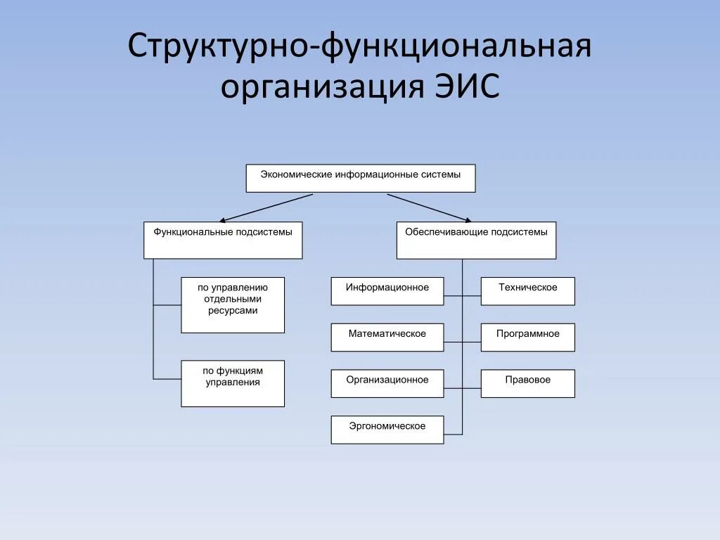 Структурные особенности организации. Структурно функциональная организация. Функциональная структурная организация предприятия. Функциональная структура организации. Структурно-функциональный.