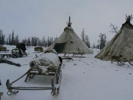 Построил я себе в тайге чум