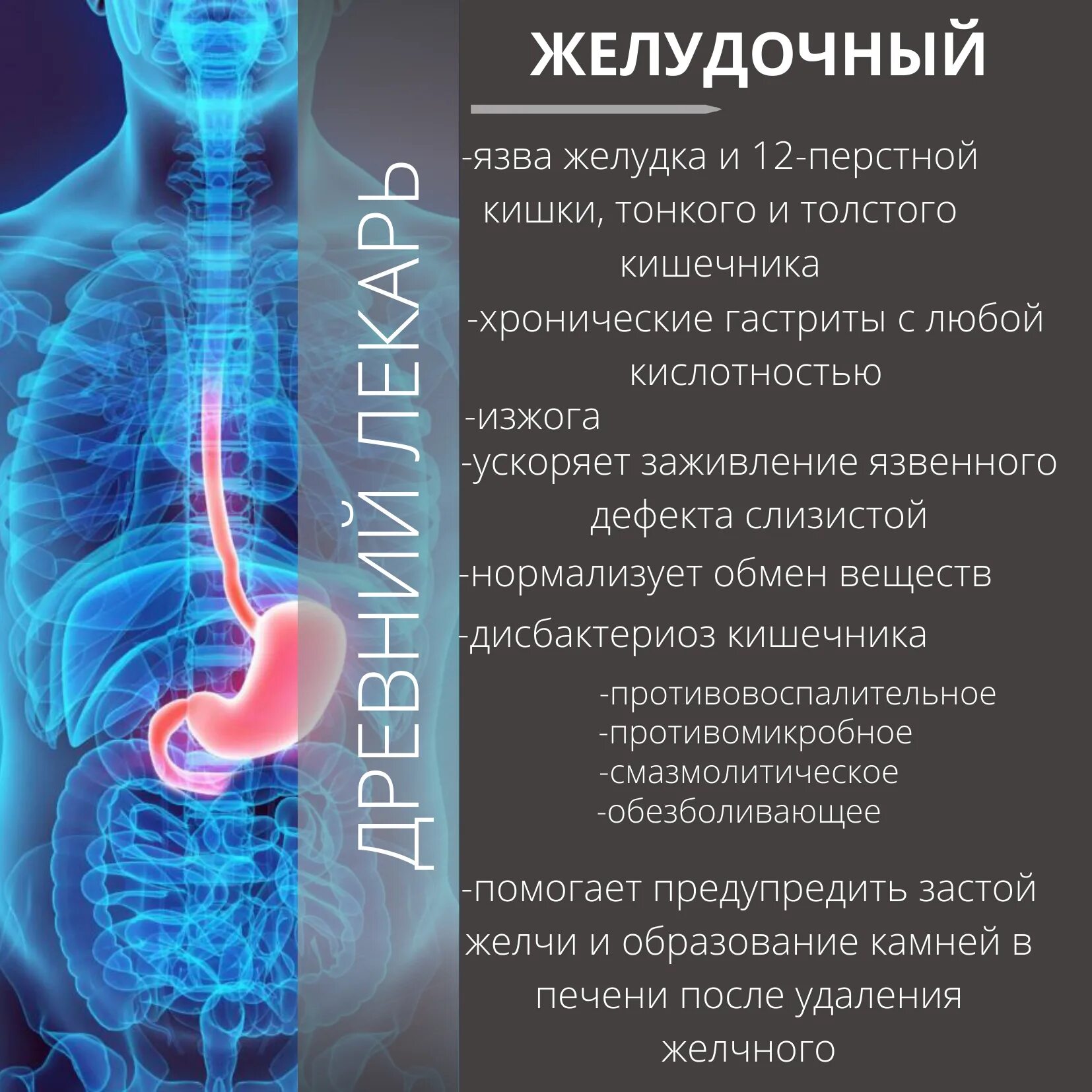 Препараты для ЖКТ. Лекарство для желудка и кишечника. Восстановление слизистой желудка и кишечника