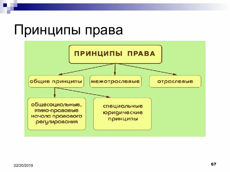 Данный принцип является в праве