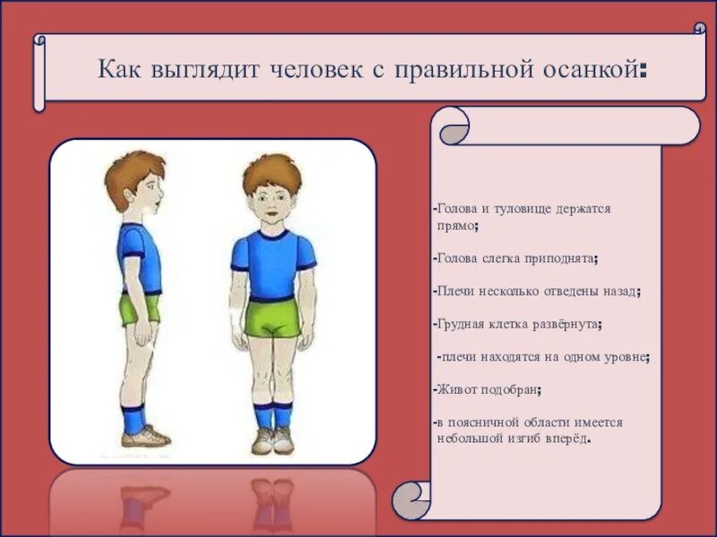 Как выглядит правильный человек Упражнения для правильной осанки у детей. YouTube