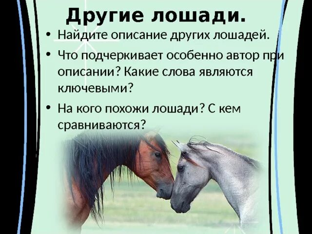 Рассказ о чем плачут лошади краткое содержание. О чём плачут лошади. О чём плачут лошади Абрамов. Рассказ о чём плачут лошади. От чего плачут лошади.