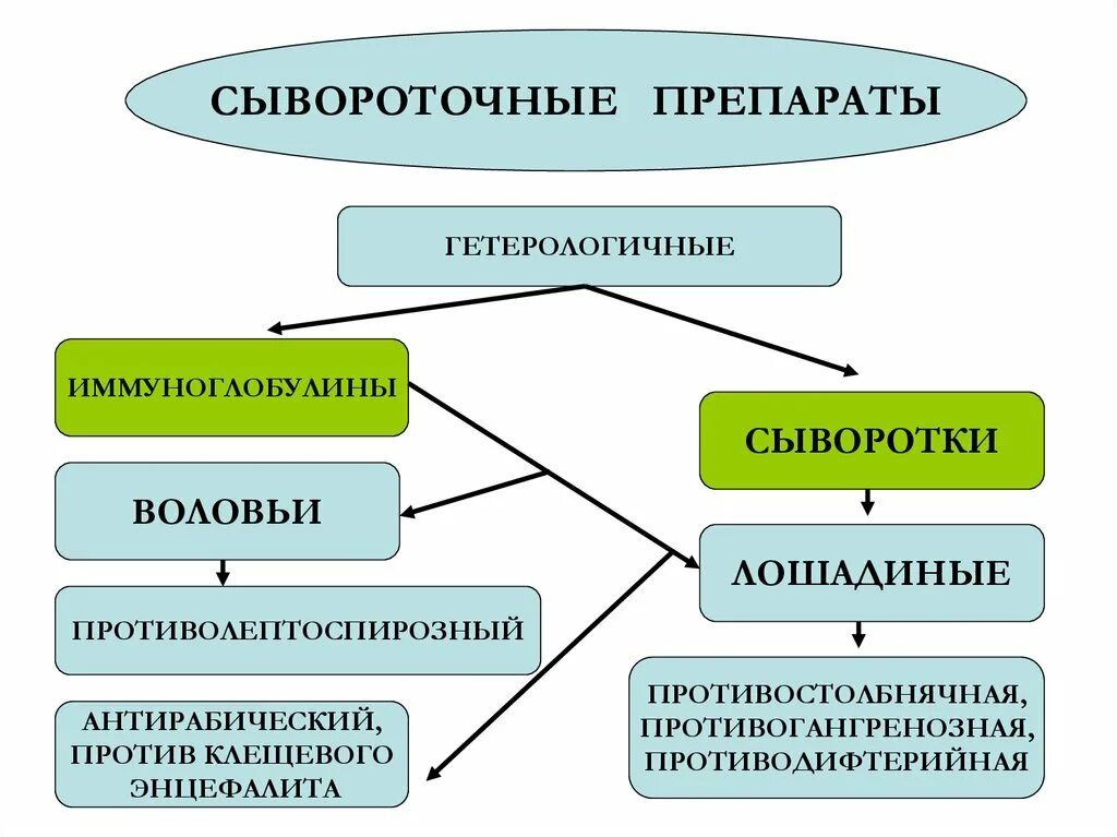 Вакцины сыворотки иммуноглобулины. Иммунные сыворотки диагностические и лечебные схема. Иммунные сыворотки и иммуноглобулины. Классификация сывороток и иммуноглобулинов. Иммунные сыворотки классификация.