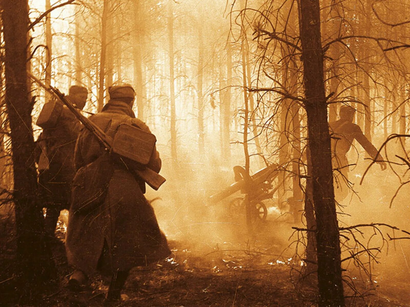Уходящая в ночь бой. Бойцы вов 1941 в лесу. лес война.