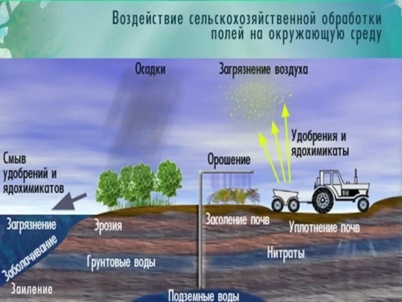 Этапы воздействия на окружающую среду. Влияние сельского хозяйства на окружающую среду. Загрязнение от сельского хозяйства. Негативное влияние сельского хозяйства на окружающую среду. Влияние земледелия на окружающую среду.