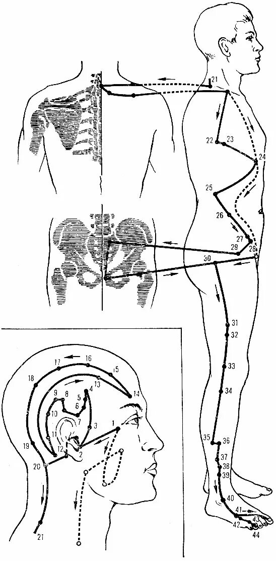 точки желчи. меридиан желчного пузыря точки простукивание. точка проекции желчного пузыря. простукивать канал желчного пузыря. болевые точки при холецистите.