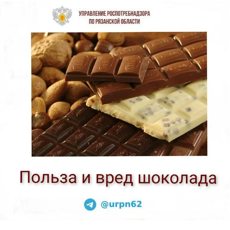 самые интересные факты о шоколаде. интересные факты о шоколаде. факты о шоколаде. факты о шоколаде. факты о шоколаде.