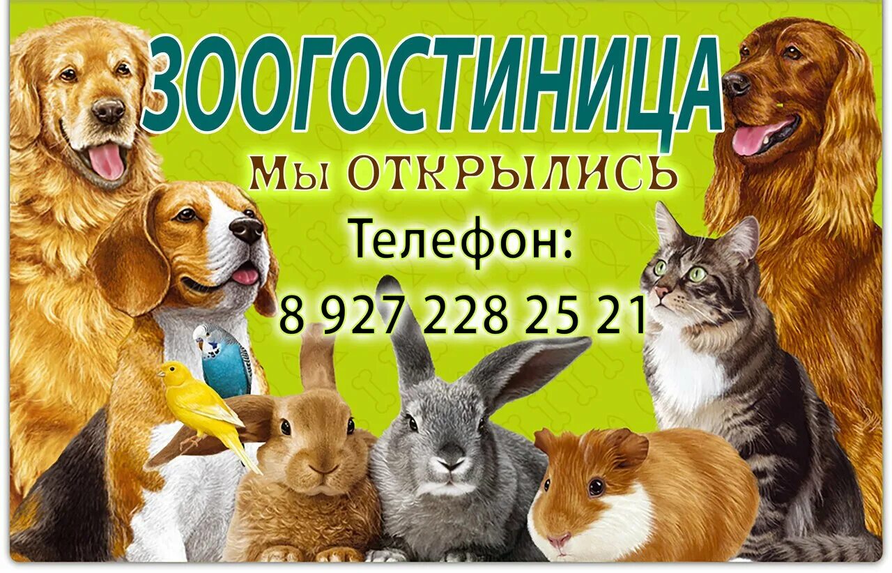 Продам животных. Зоомагазин баннер. товары для животных. реклама корма для животных. обложка для зоомагазина.