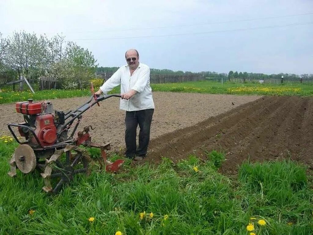 Вспашка земли культиватором с плугом. Нужно ли пахать огород осенью мотоблоком. Нужно ли пахать огород осенью мотоблоком. Мотоблок пашет. Мотоблок вспашка каскад 8.