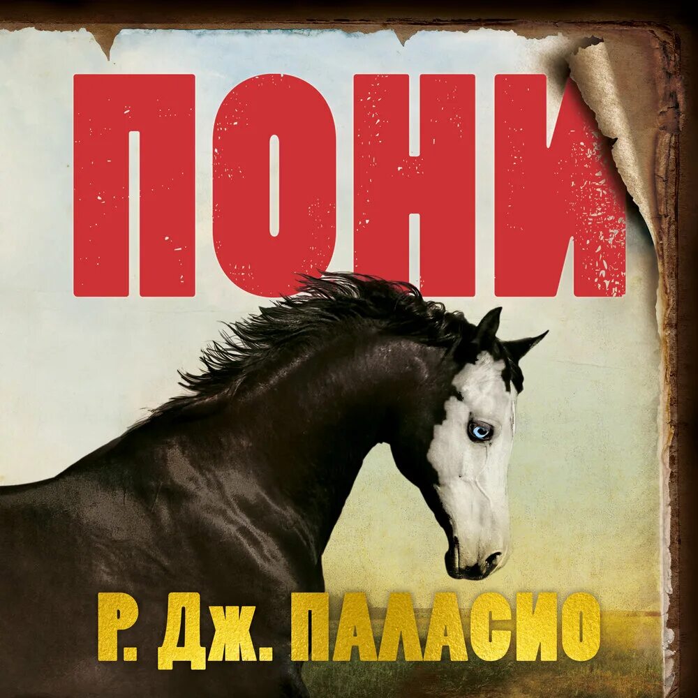 Пони Паласио. Чудо р. Дж. Паласио книга. Книга для пони обработки. Паласио чудо обложка. Pony слушать