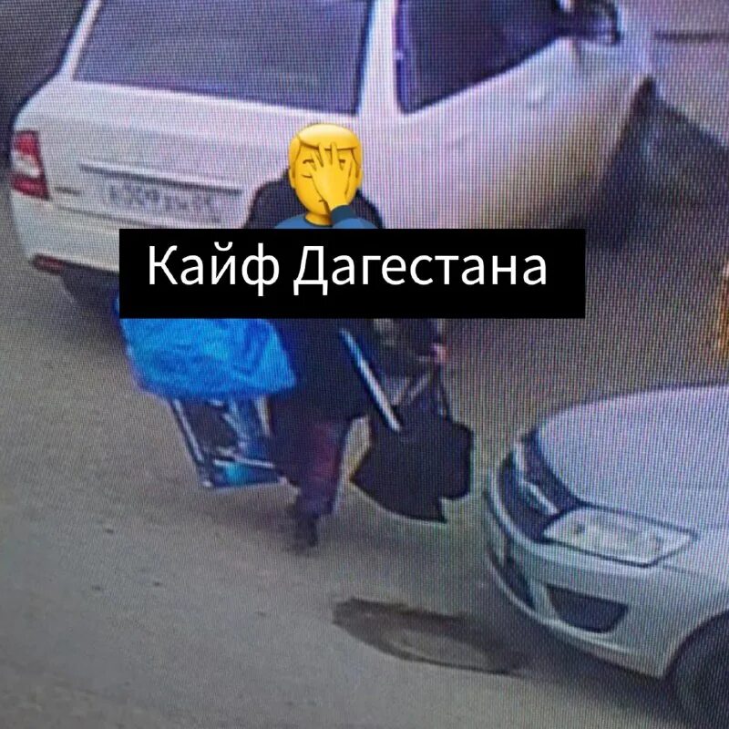 вебинар по обществознанию. куникова пр. вебинары по обществознанию егэ. кайф дагестана телеграм. кайф дагестана телеграм.