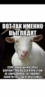 Смешная коза 