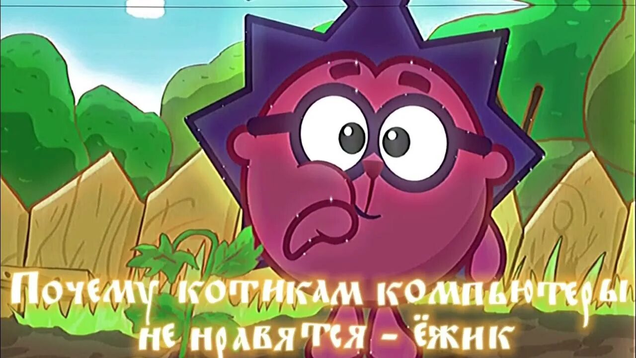 Nyan почему котикам компьютерам не нравится. Почему котикам компьютеры не. почему котикам компьютеры. почему котикам компьютеры не нравятся.