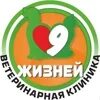 9 жизней евпатория
