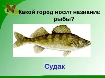 Какое имя носит имя рыбы