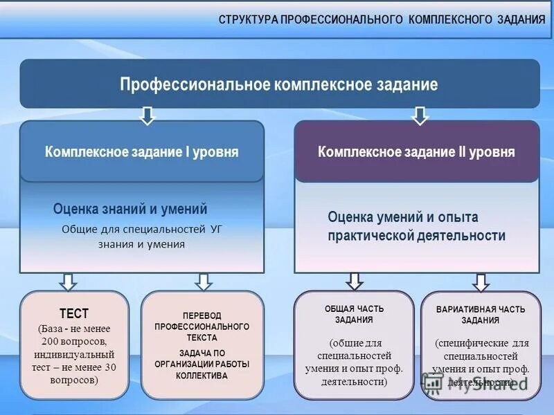 Ломоносов задания заключительного этапа