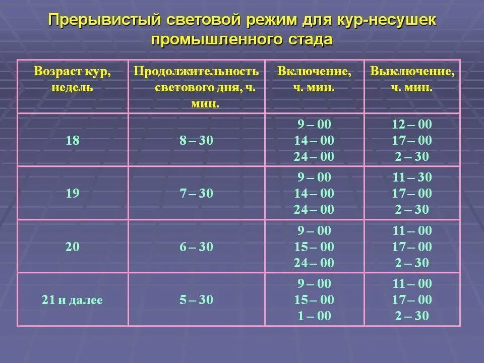 Световой день продолжительность таблица. Световой режим для кур несушек. Режим освещения для цыплят несушек. Световой день для кур несушек. Световой режим для бройлеров.