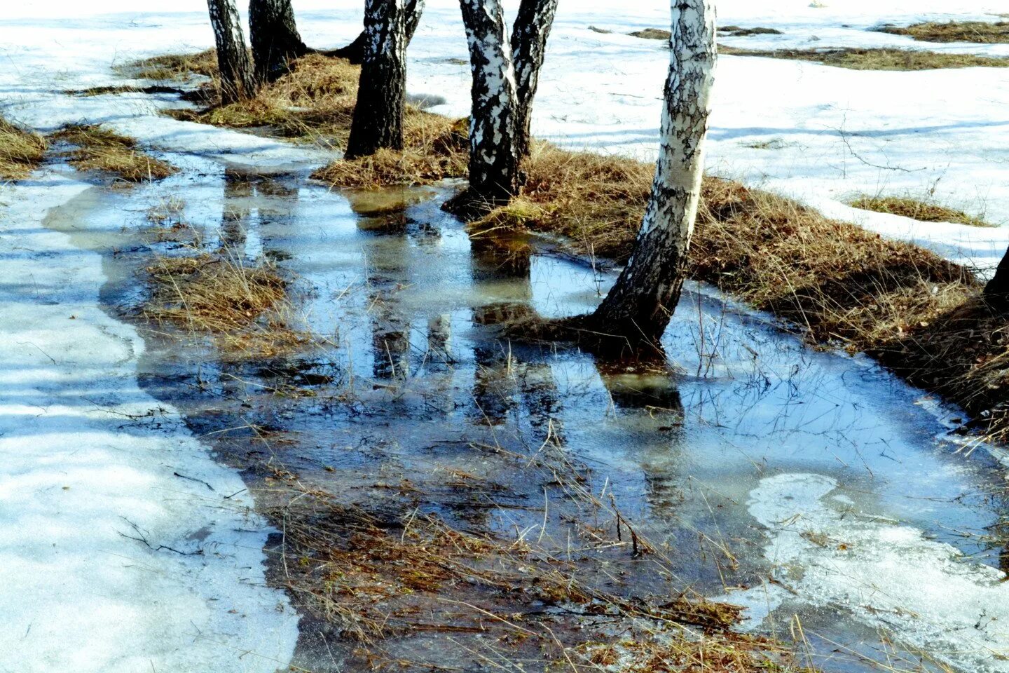 Как быстро растает снег. Весенние ручьи. Лужи весной. Весенние лужи.