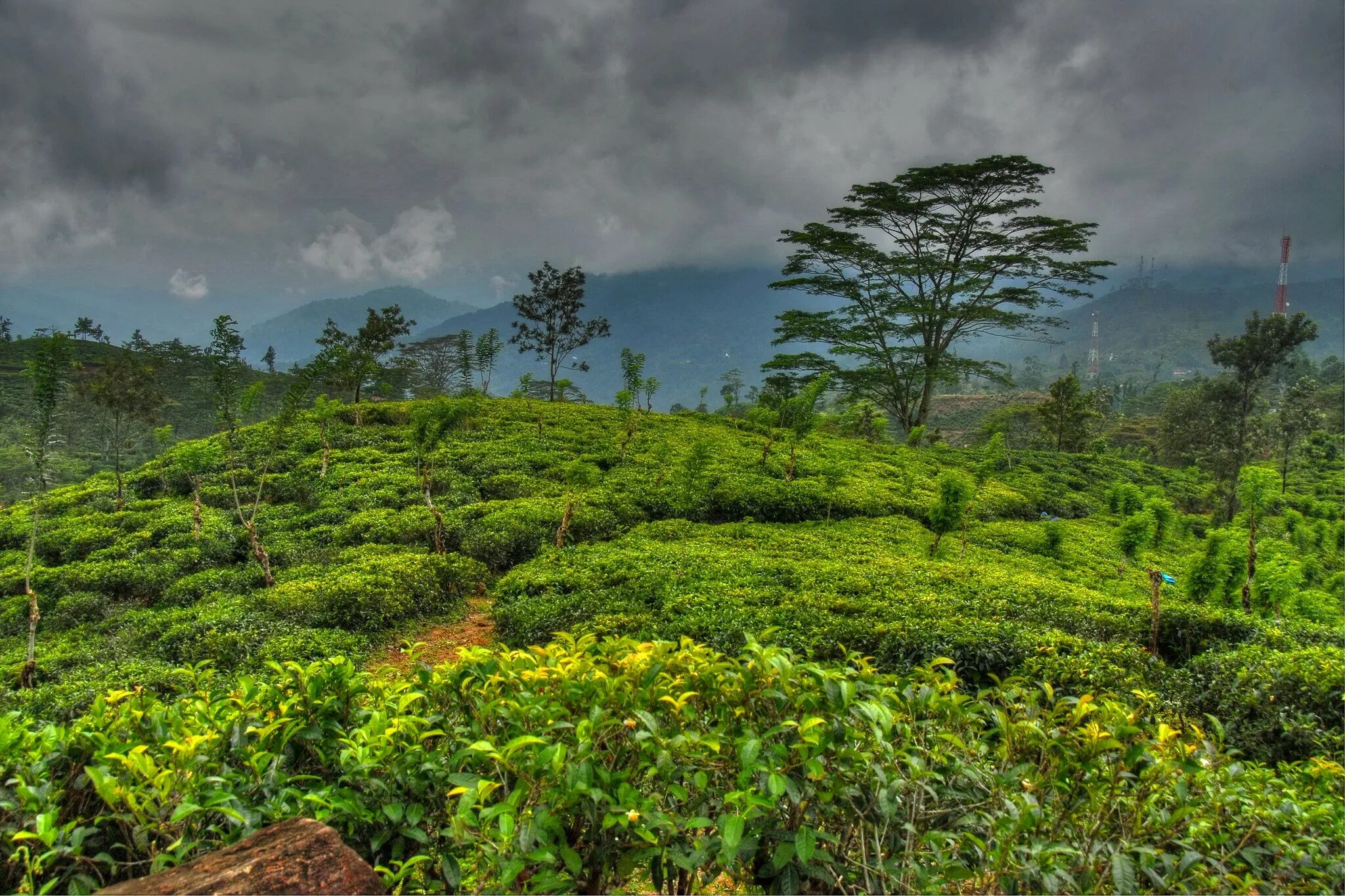 Бутан шри ланка шри ланка прогноз. Остров Цейлон природа. Цейлон климат. Остров Цейлон Шри Ланка. Тропики Шри Ланки.