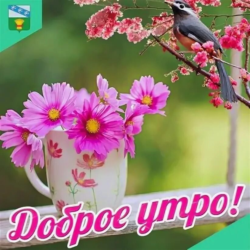 С добрым утром и последним днем лета. Доброе утро последний день. доброе утро муся. с добрым утром последний день апреля.